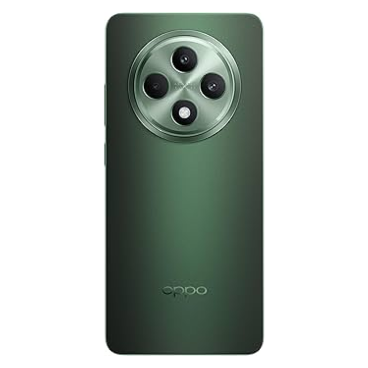Oppo Reno12 FS 256GB Verde Reacondicionado