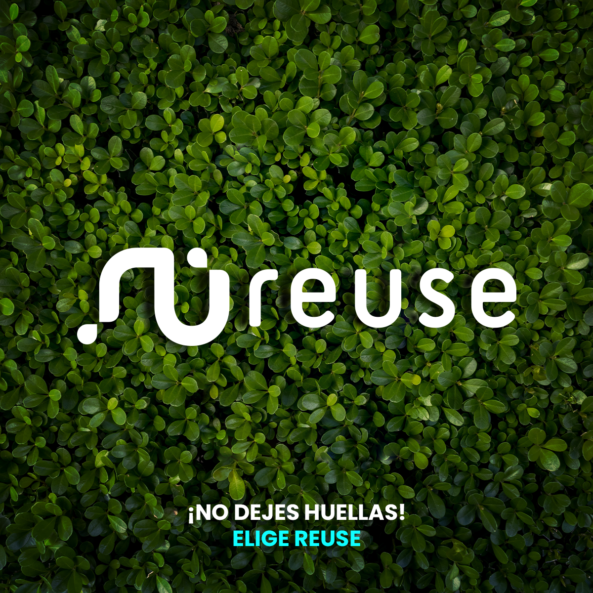 Dell Notebook Latitude 7410 14" Core i7 1.8 16GB RAM 256GB SSD Gris Openbox