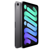 Apple iPad Mini 8.3" 6 Gen Wi-Fi 256GB Gris Reacondicionado