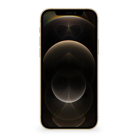 iPhone 12 Pro Max Gold Frontal #color_gold