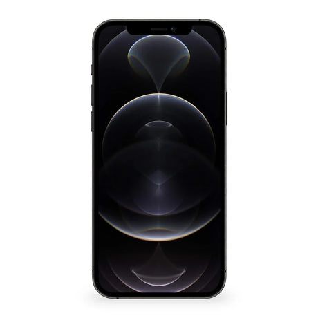 iPhone 12 Pro Max Graphite Frontal #color_graphite