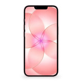 iPhone 17e Soft Pink Frontal #color_soft_pink